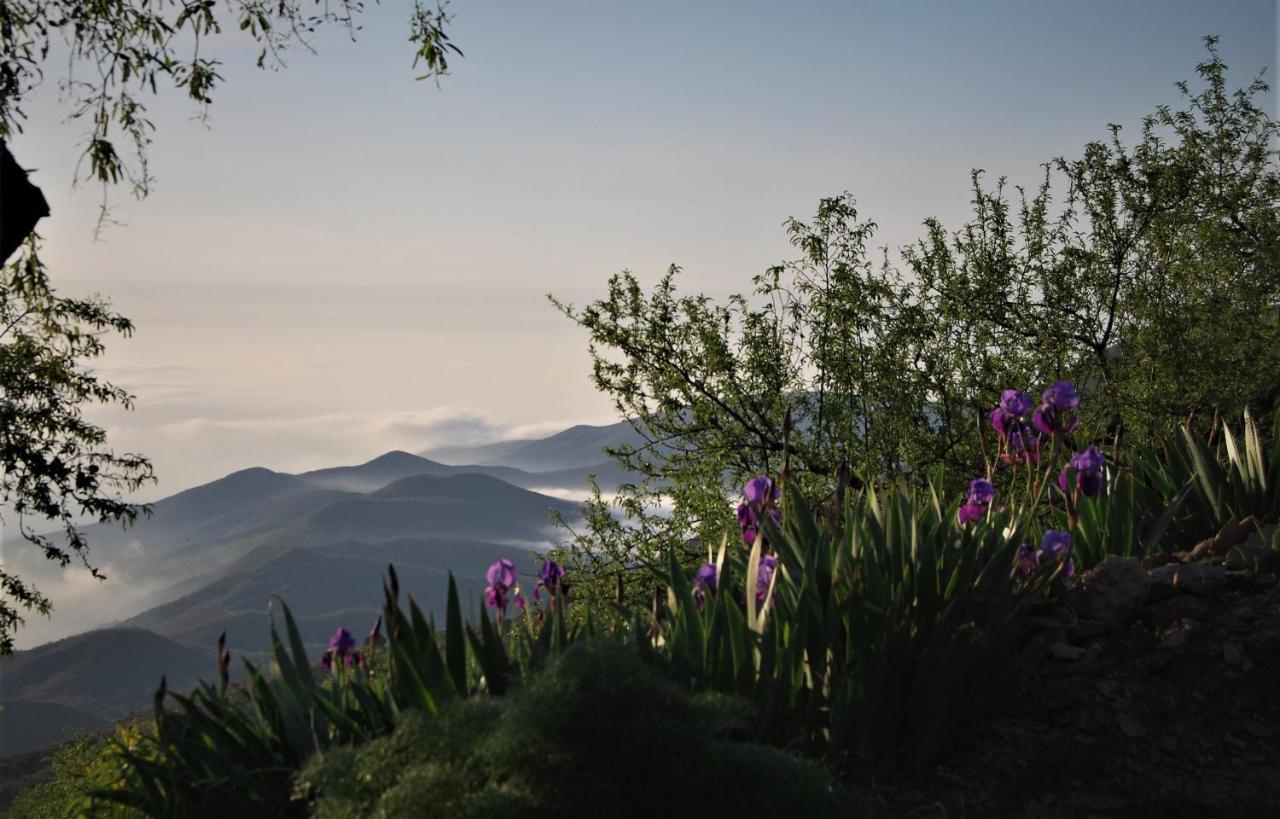 Cortijo Los Maximos Turon Extérieur photo