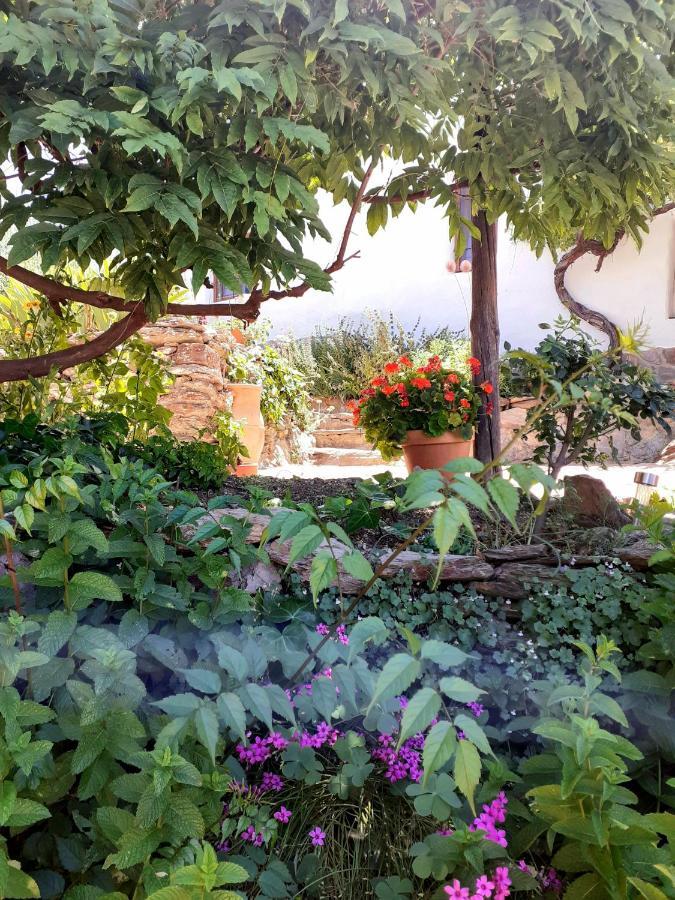 Cortijo Los Maximos Turon Extérieur photo