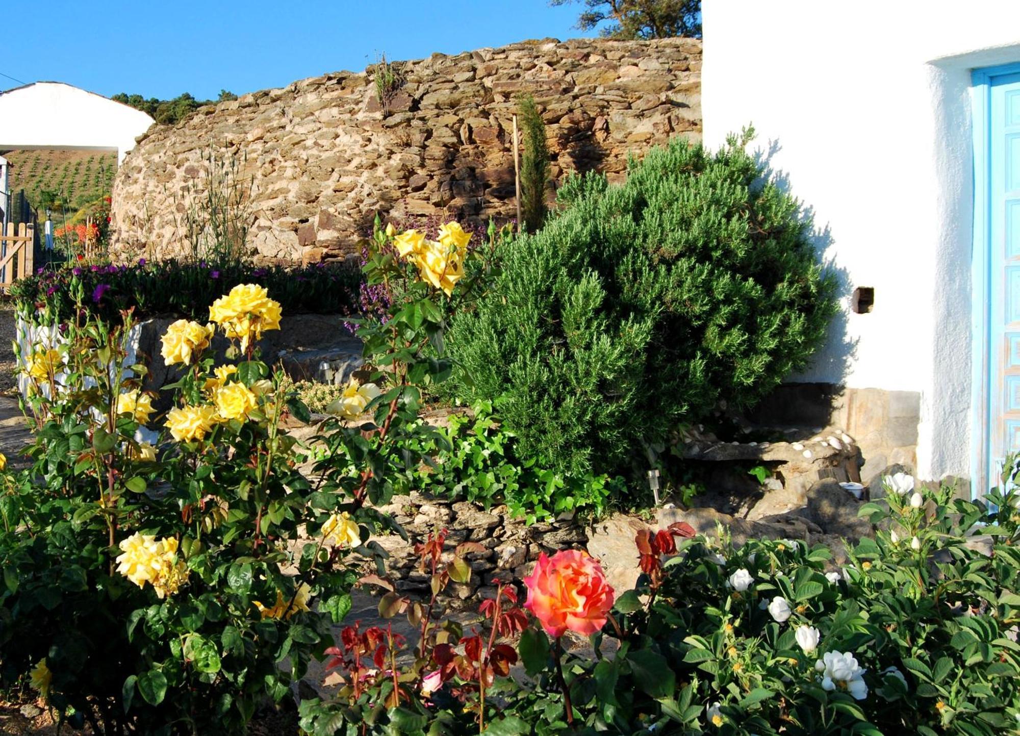 Cortijo Los Maximos Turon Extérieur photo