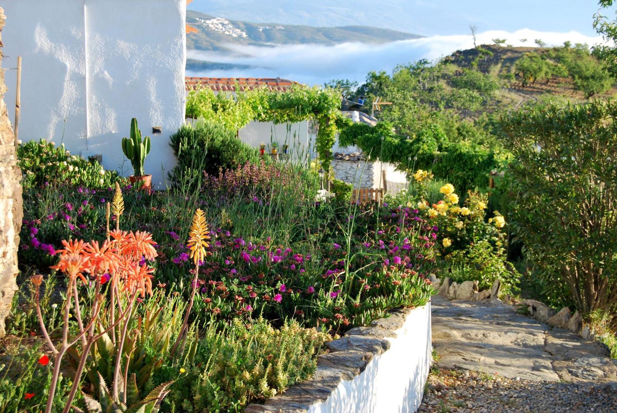 Cortijo Los Maximos Turon Extérieur photo