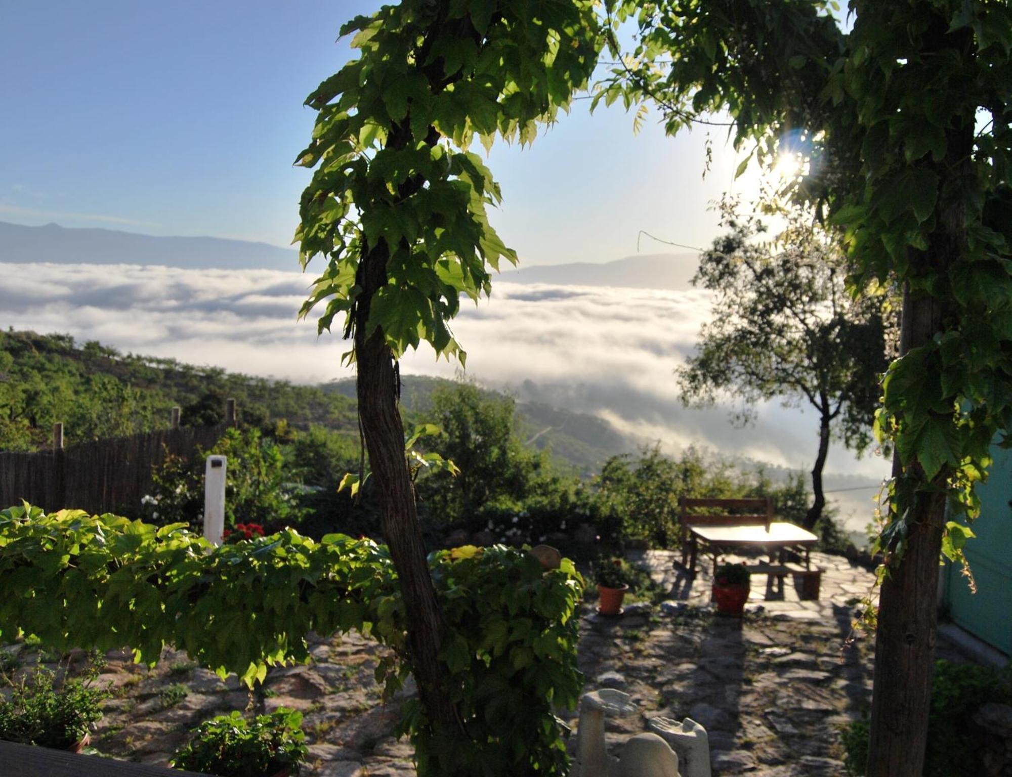 Cortijo Los Maximos Turon Extérieur photo