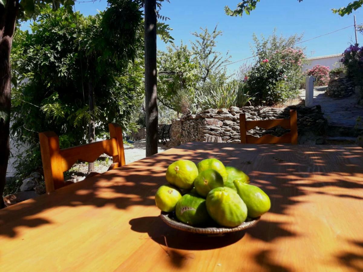 Cortijo Los Maximos Turon Extérieur photo