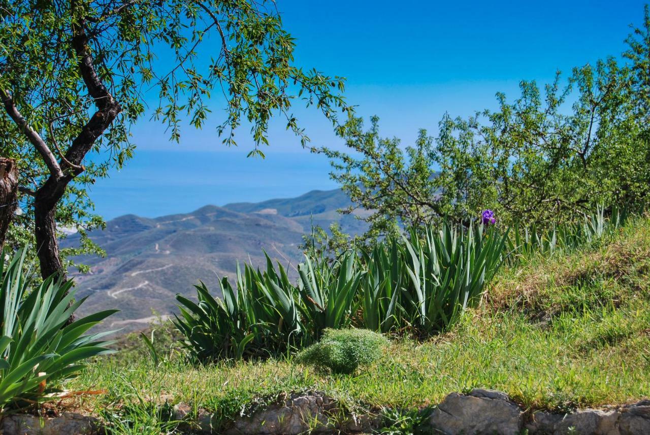 Cortijo Los Maximos Turon Extérieur photo
